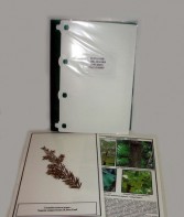 Гербарий "Эволюция высших растений" (ламинированный) - fgospostavki.ru - Рязань