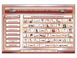 Трехсекционный базовый комплект "Травмы. Кровотечения. Ожоги" для учащихся общеобразовательных учреждений - fgospostavki.ru - Рязань
