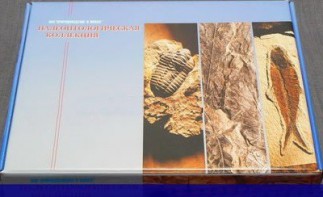 Коллекция "Палеонтологическая" (16 образцов) - fgospostavki.ru - Рязань