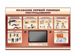 Многофункциональный интерактивный стенд-тренажер "Оказание первой помощи пострадавшим" для учащихся общеобразовательных учреждений - fgospostavki.ru - Рязань
