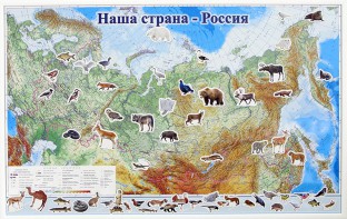 Магнитные карточки "Животные" - fgospostavki.ru - Рязань
