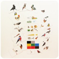 Набор магнитных карточек "Загадки-отрицания". Птицы - fgospostavki.ru - Рязань