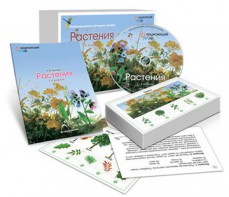 Комбинированное наглядное пособие «Растения» - fgospostavki.ru - Рязань