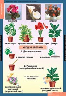 Комплект таблиц. Окружающий мир 1 класс. - fgospostavki.ru - Рязань