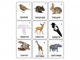 Набор магнитных карточек по музыке "Животные" (9 штук) - fgospostavki.ru - Рязань