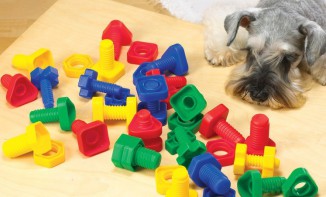 Игра на сенсомоторное развитие "Гайки и болтики" - fgospostavki.ru - Рязань