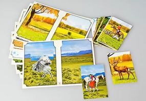 Настольно-печатная игра "Вокруг света" - fgospostavki.ru - Рязань