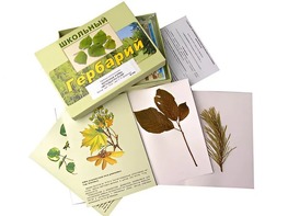 Гербарий "Жизненные формы цветковых растений" (раздаточный) - fgospostavki.ru - Рязань