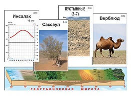 Модель-аппликация "Природные зоны" - fgospostavki.ru - Рязань