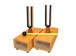 Камертоны на резонансных ящиках (пара) - fgospostavki.ru - Рязань