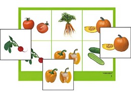 Логопедическое лото "Овощи" (4 планшета, 24 карточки, цветное, ламинированное) - fgospostavki.ru - Рязань