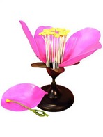 Модель цветка яблони - fgospostavki.ru - Рязань