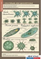 Комплект таблиц. Биология 7 класс. Животные. - fgospostavki.ru - Рязань