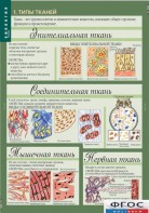 Комплект таблиц. Биология 8-9 класс. Человек. - fgospostavki.ru - Рязань