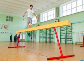 Бревно гимнастическое напольное постоянной высоты (700 мм) (5 м) - fgospostavki.ru - Рязань