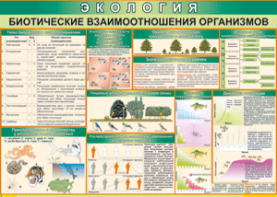Таблица "Биотические взаимоотношения организмов" (100х140 сантиметров, винил) - fgospostavki.ru - Рязань