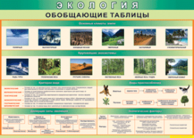 Таблица "Экология. Обобщающие таблицы" (100х140 сантиметров, винил) - fgospostavki.ru - Рязань