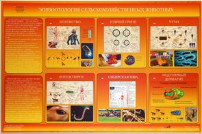 Электрифицированный стенд «Эпизоотология сельскохозяйственных животных» - fgospostavki.ru - Рязань