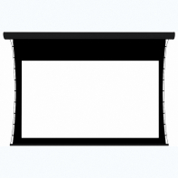 Экран настенный с электроприводом DSTPX-16916 - fgospostavki.ru - Рязань