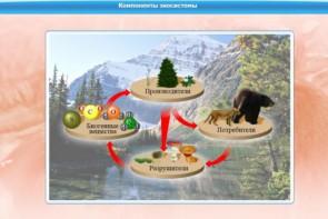 Интерактивные курсы. Биология 7 класс. Базовый. - fgospostavki.ru - Рязань