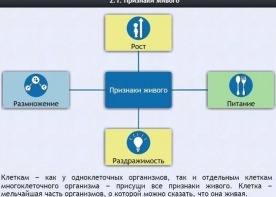Интерактивные курсы. Биология 5 класс. Базовый - fgospostavki.ru - Рязань