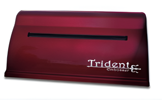 Принтер для печати рельефно-точечным шрифтом Брайля Trident - fgospostavki.ru - Рязань