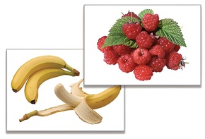 Дидактическое пособие "Фрукты, ягоды, орехи" (24 карточки) - fgospostavki.ru - Рязань