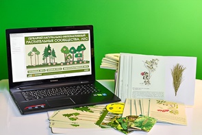 Гербарий натурально-интерактивный "Растительные сообщества. Лес" - fgospostavki.ru - Рязань