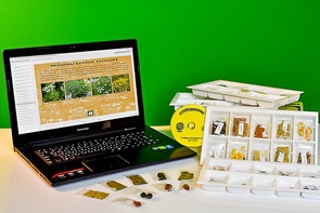 Коллекция натурально-интерактивная "Плоды сельскохозяйственных растений" - fgospostavki.ru - Рязань