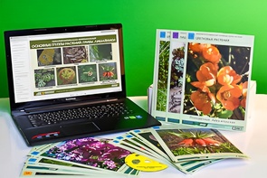 Гербарий натурально-интерактивный "Основные группы растений. Грибы. Лишайники" - fgospostavki.ru - Рязань