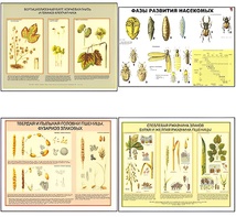 Плакаты ПРОФТЕХ "Вредители и болезни с/х культур и меры борьбы с ними" (11 пл, винил, 70х100) - fgospostavki.ru - Рязань