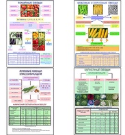 Плакаты ПРОФТЕХ "Классификация овощей" (11 пл, винил, 70х100) - fgospostavki.ru - Рязань