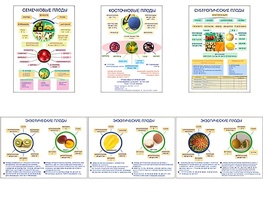 Плакаты ПРОФТЕХ "Плоды" (6 пл, винил, 70х100) - fgospostavki.ru - Рязань