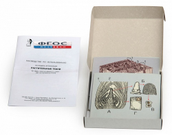 Модель-аппликация "Растительные ткани" (набор из 15 карт) - fgospostavki.ru - Рязань