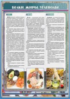 Стенд "Белки. Жиры. Углеводы" - fgospostavki.ru - Рязань