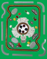 Модель-аппликация "Строение клетки" (набор из 54 пластмассовых фигур) - fgospostavki.ru - Рязань