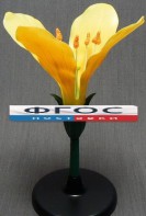 Модель "Цветок капусты" - fgospostavki.ru - Рязань