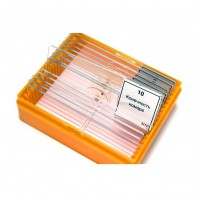 Набор готовых микропрепаратов (зоология) - fgospostavki.ru - Рязань