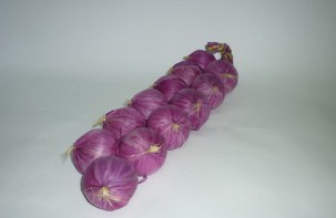 Муляжи "Связка лука" - fgospostavki.ru - Рязань