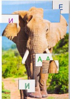 Магнитная орфография (безударные гласные, 1 класс) "Слон" - fgospostavki.ru - Рязань