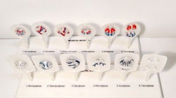 Модель "Митоз и мейоз клетки" - fgospostavki.ru - Рязань