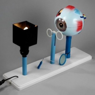 Модель "Зрение" (электрическая) - fgospostavki.ru - Рязань