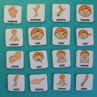 Набор карточек "Части тела" - fgospostavki.ru - Рязань