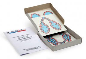 Модель-аппликация "Развитие легких позвоночных животных" (набор из 5 карт) - fgospostavki.ru - Рязань