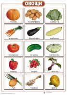 Таблицы "Окружающий мир" (формат А2, ламинированные, 10 таблиц) - fgospostavki.ru - Рязань