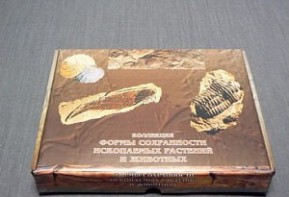 Коллекция "Формы сохранности ископаемых растений и животных" - fgospostavki.ru - Рязань