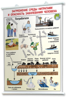 Плакаты по общей экологии для оформления кабинета. - fgospostavki.ru - Рязань