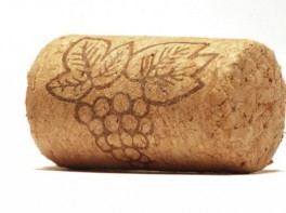 Роторасширитель Пробка - fgospostavki.ru - Рязань