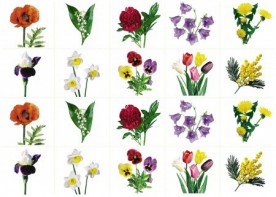 Комплект карточек "Запоминай, играй, считай" - Цветы - fgospostavki.ru - Рязань