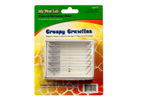 Набор микропрепаратов для микроскопа №2 «Насекомые» - fgospostavki.ru - Рязань